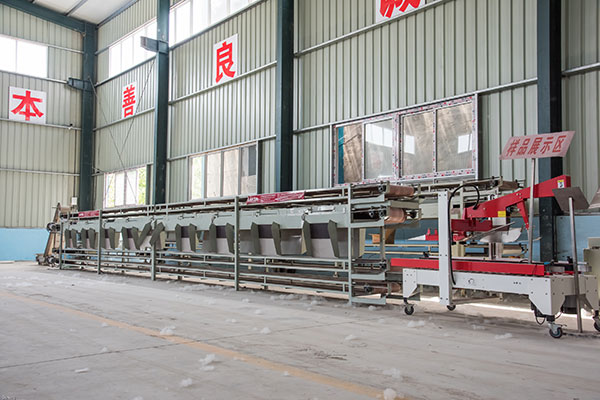 大蒜包装机械设备