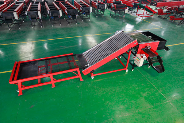 大型大蒜破瓣分选机