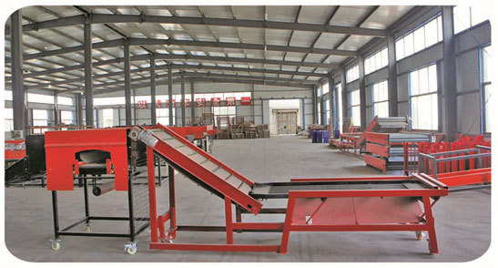 中型大蒜分选机