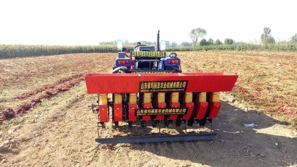 新型大蒜播种机