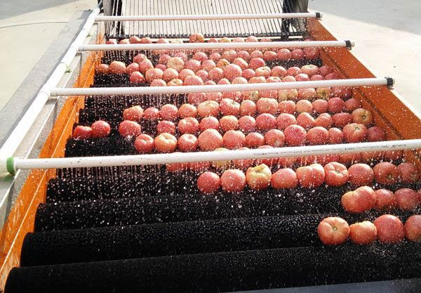 水果蔬菜清洗机