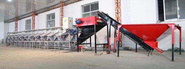 大蒜大小包装生产线