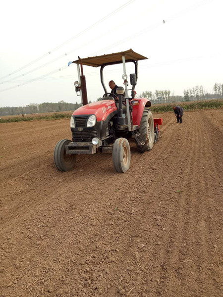 9行大蒜播种机厂家