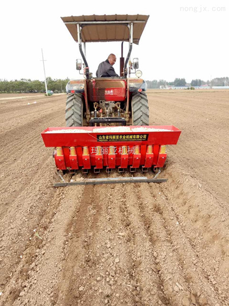 农业大蒜播种机