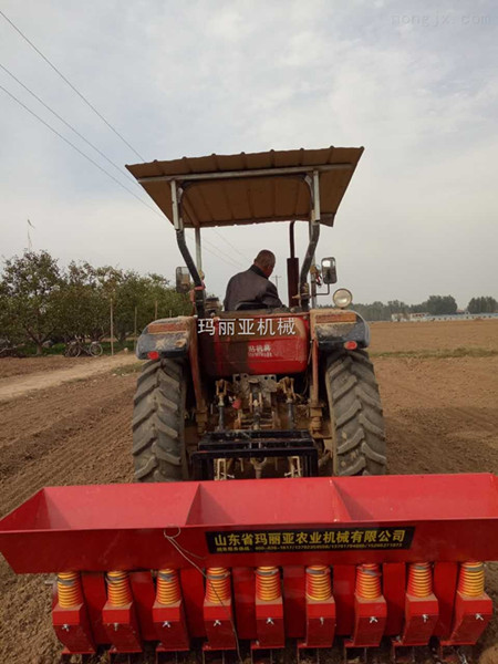 济宁大蒜种植机