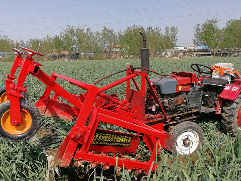玛利亚前置大蒜收获机