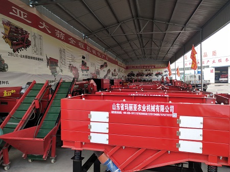 大蒜分瓣分选机厂家