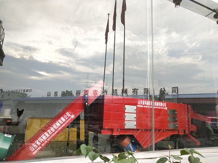 蒜种分瓣分选机