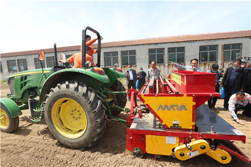 大蒜正芽播种机厂家直销