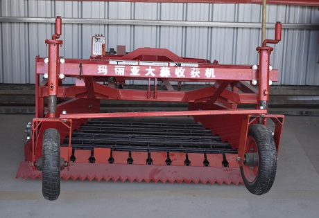 打捆式大蒜收获机