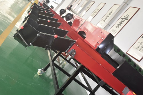 大型大蒜分选机