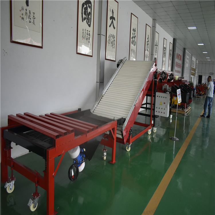 大型大蒜分选机厂家