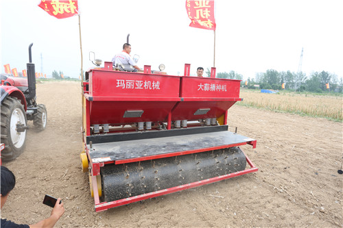 大蒜正芽播种机厂家