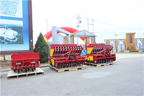 大蒜正芽播种机价格