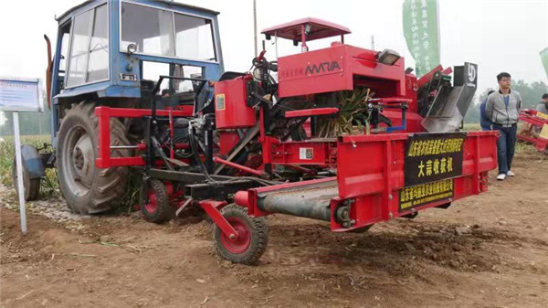 大蒜播种机