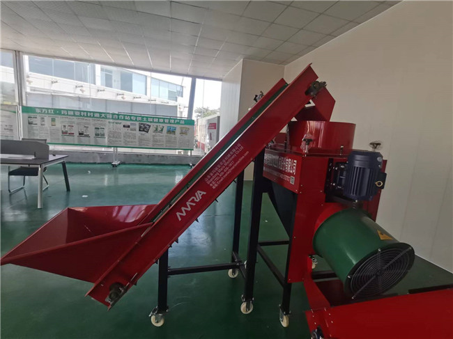 大蒜分选机械