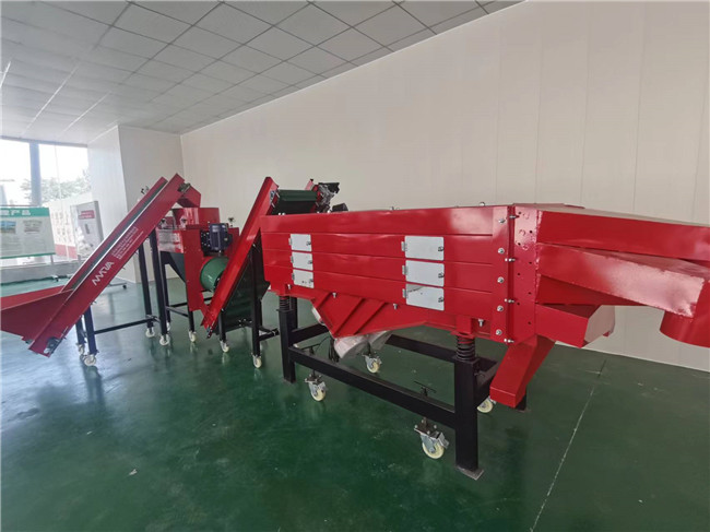 蒜种分瓣分选机