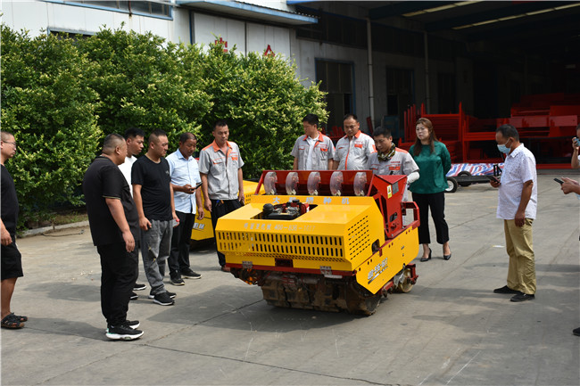 山东大蒜播种机批发