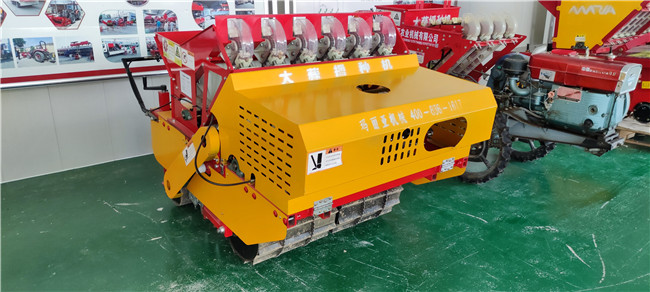 6行自走式大蒜精量播种机