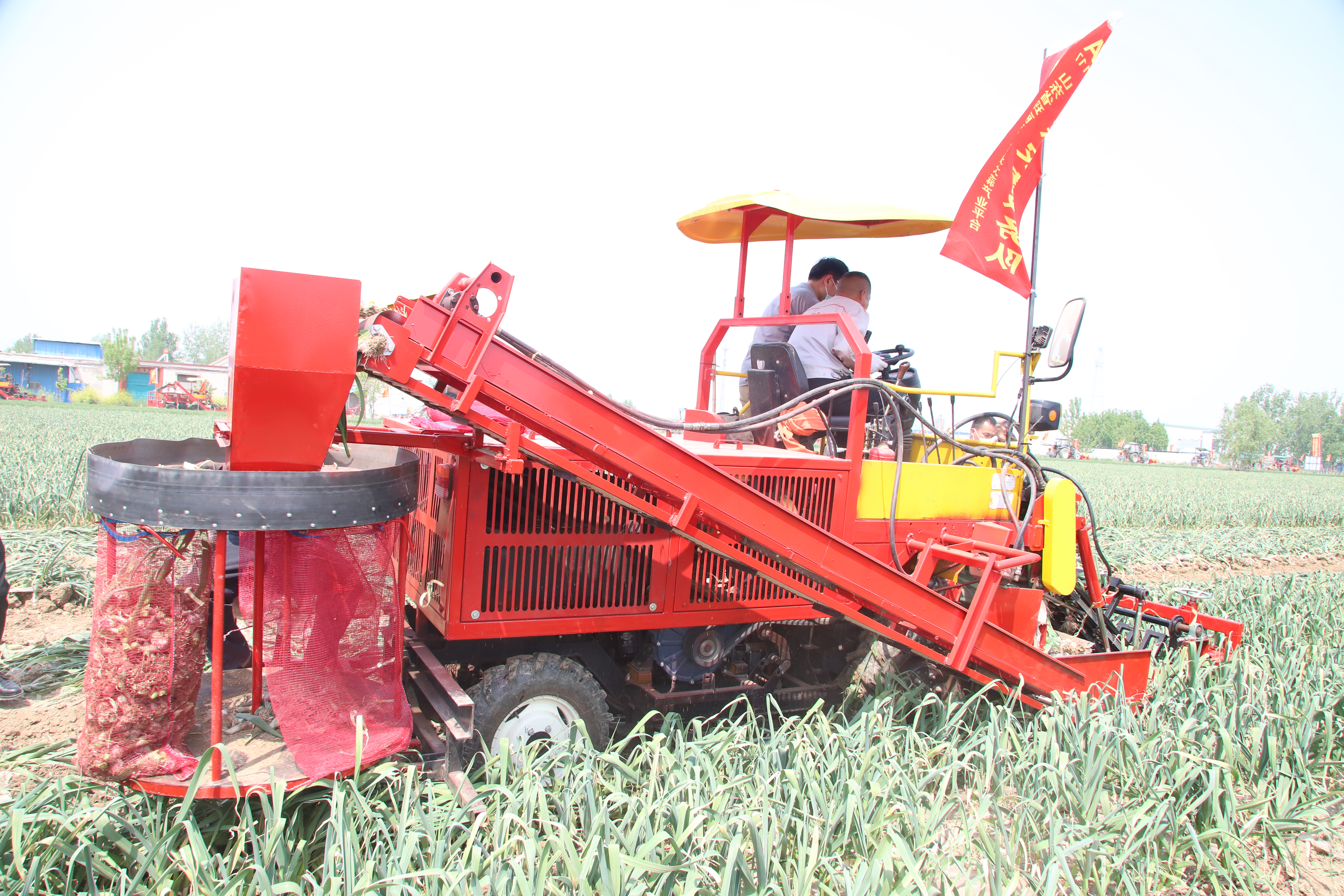 新型大蒜收获机