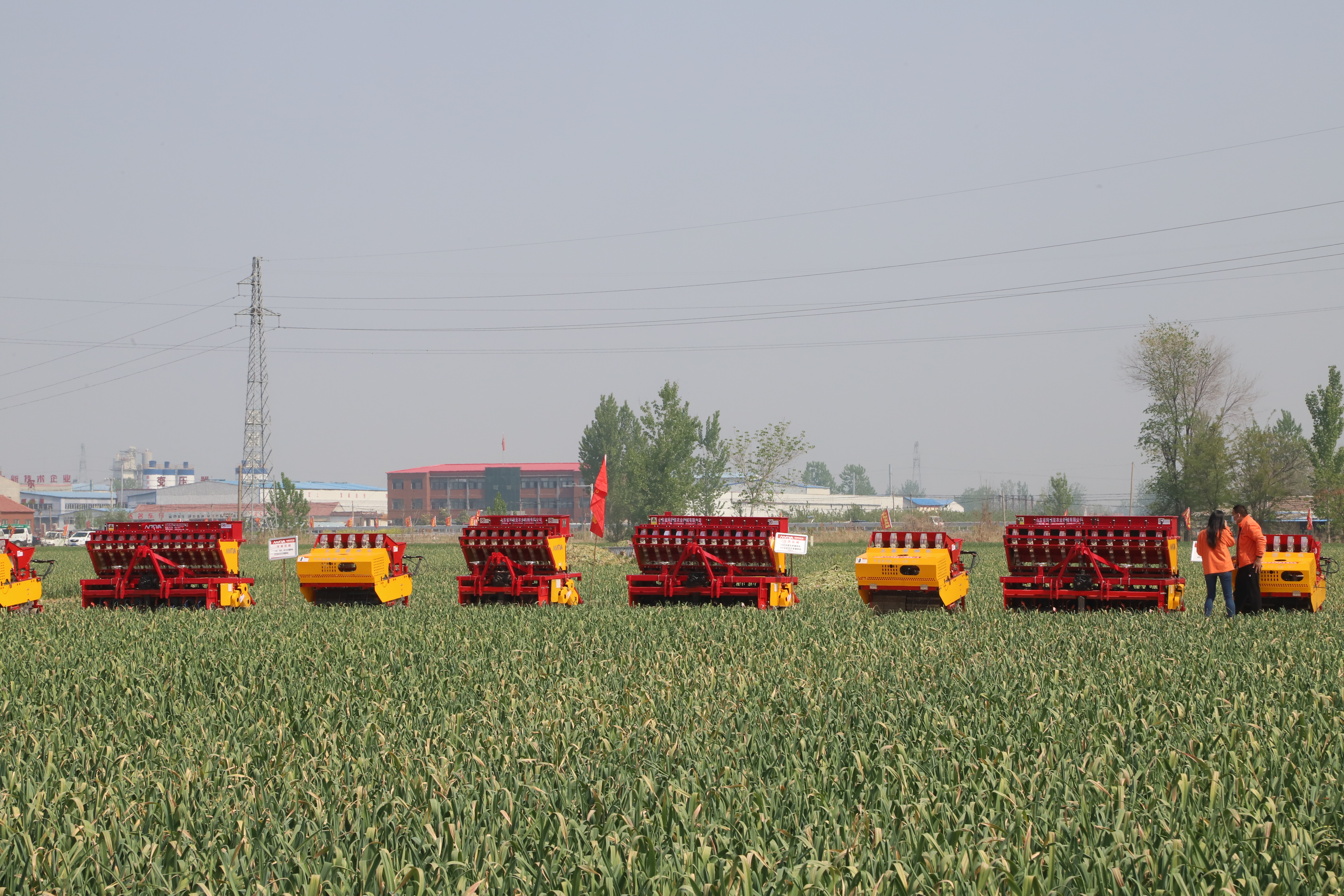 全自动大蒜播种机