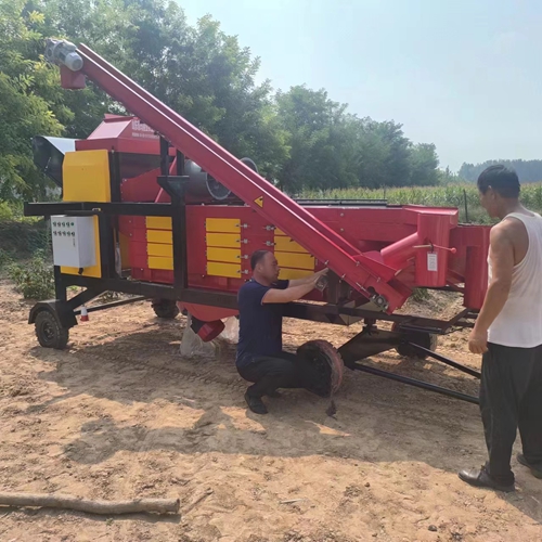 大蒜分选机设备