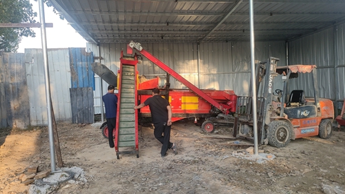 大蒜分瓣分选设备