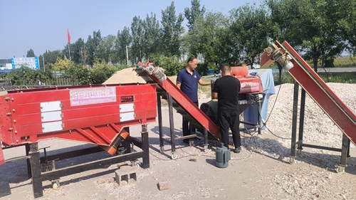 大蒜分级筛选机