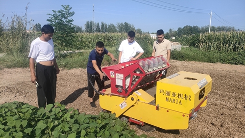 半自动大蒜播种机