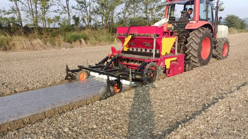 四轮大蒜播种机