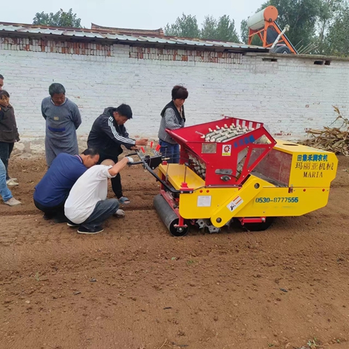 大蒜专用播种机