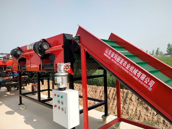 大蒜分选机直销厂家