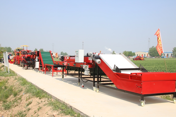 全自动大蒜分选机