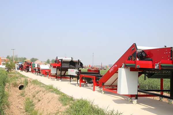 大蒜分选机生产