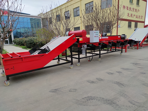 大蒜分选机价格