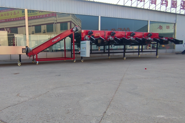 大蒜破瓣分选机