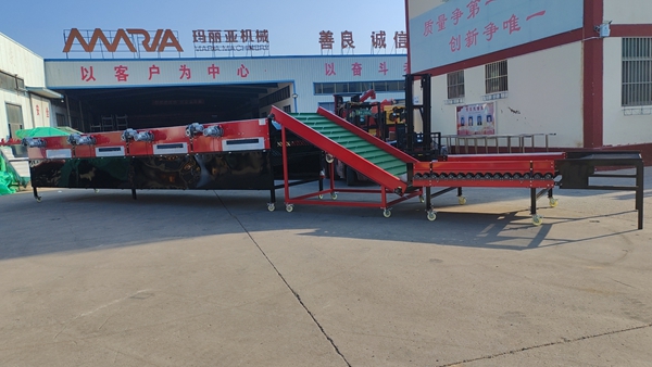 大蒜分选机厂家